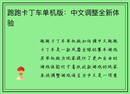 跑跑卡丁车单机版：中文调整全新体验